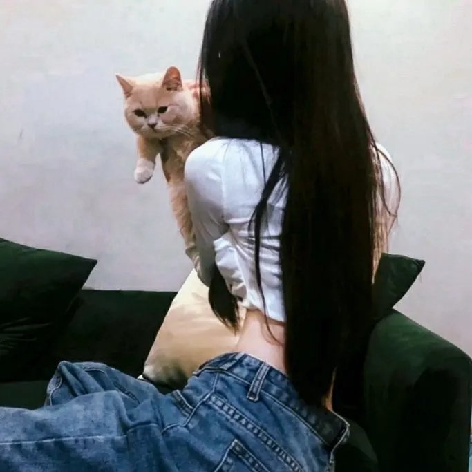 广东十虎苏灿之潜龙出世